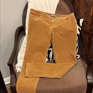 !it Jeans Women's Straight Leg in Tan